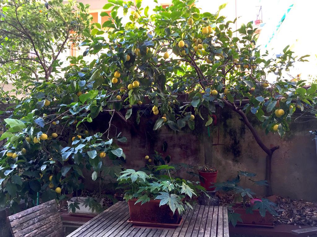 Appartamento Rita Levanto Rum bild